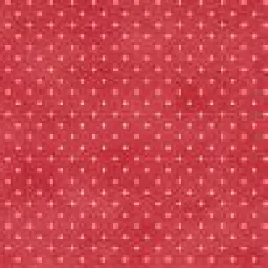 Beautiful Basics Classic Dots - Sweet Watermelon