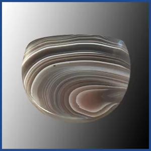 BOT613c Botswana Agate Cabochon