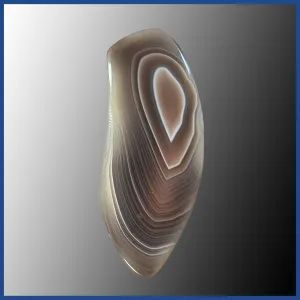 BOT619c Botswana Agate Cabochon