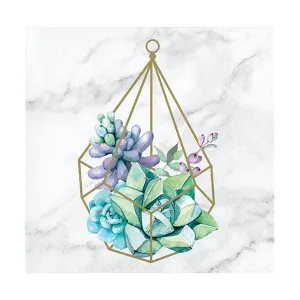 Geometric Succulents Beverage Napkins 16ct